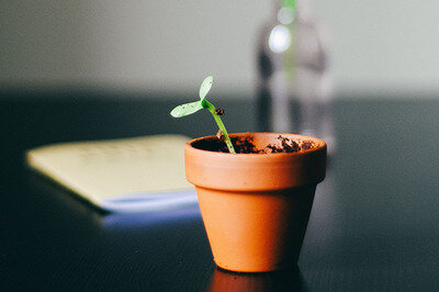 growing business crm selection